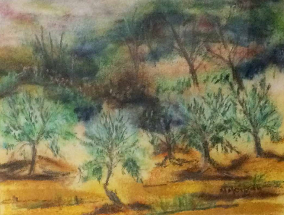 Oil Painting by Margaret Morgan-Watkins titled The Olive Grove Strath Creek