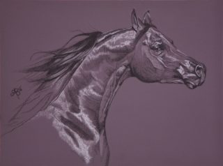 A Charcoal painting by Ainslie Gilles-Patel in the Contemporary Realist style  depicting Animals and Horses with main colour being Black and Purple and titled Aubergine Arabian II