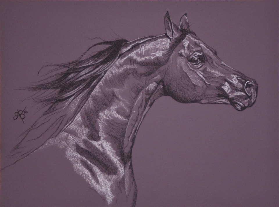 Charcoal Painting by Ainslie Gilles-Patel titled Aubergine Arabian II