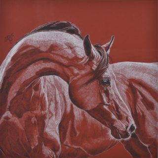 A Charcoal painting by Ainslie Gilles-Patel in the Contemporary Realist style  depicting Animals and Horses with main colour being Black Red and White and titled Contemplation