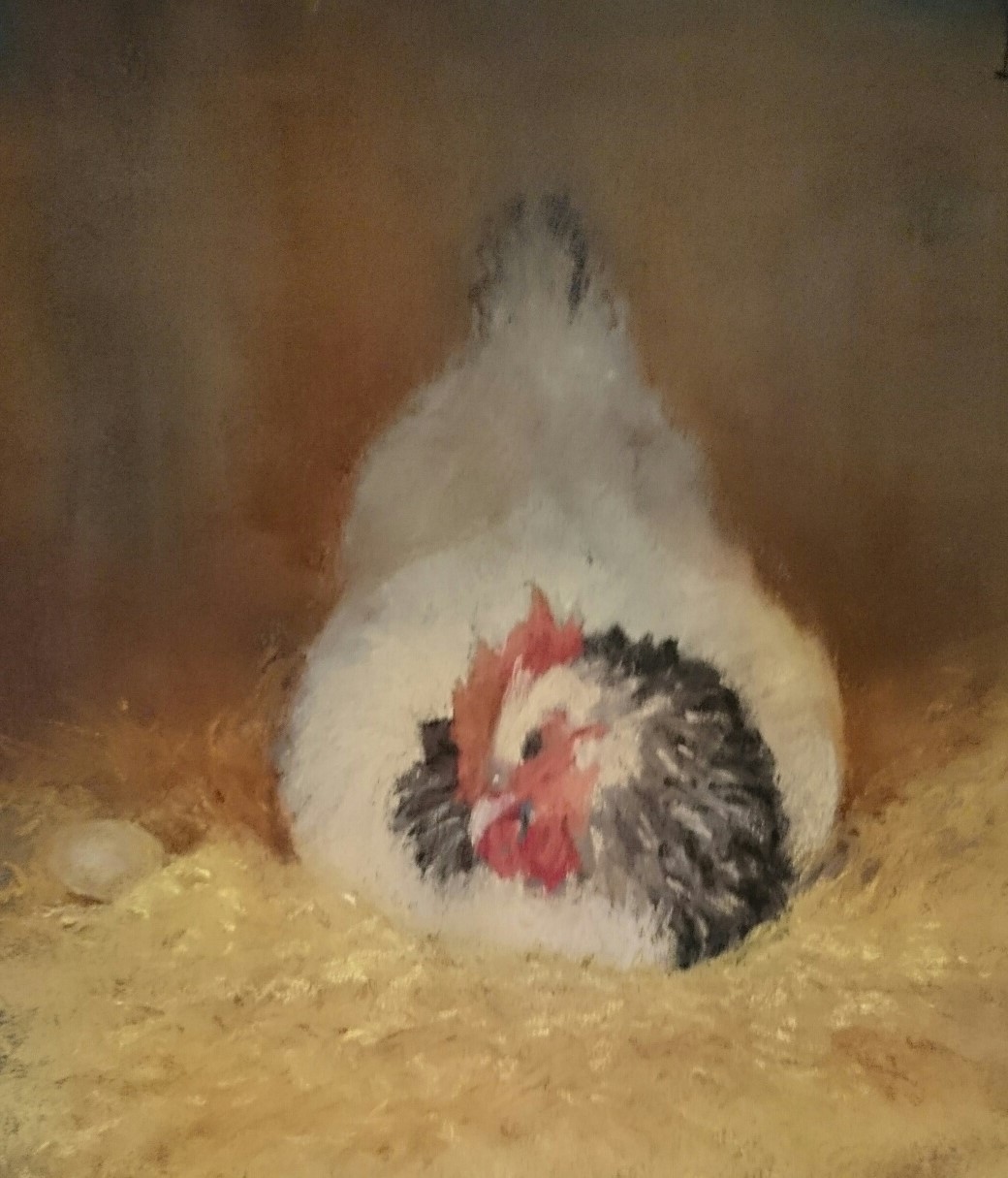 Pastel Painting by Cathie Berry titled Sussex chook