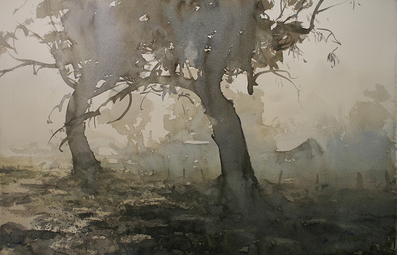 Watercolour Painting by Chan Dissanayake titled Early Morning Doongara NSW