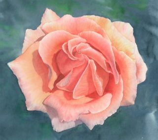 A Watercolour painting by Nola Sindel in the Realist style  depicting Flowers with main colour being Green and Pink and titled Rosa, Just Joey