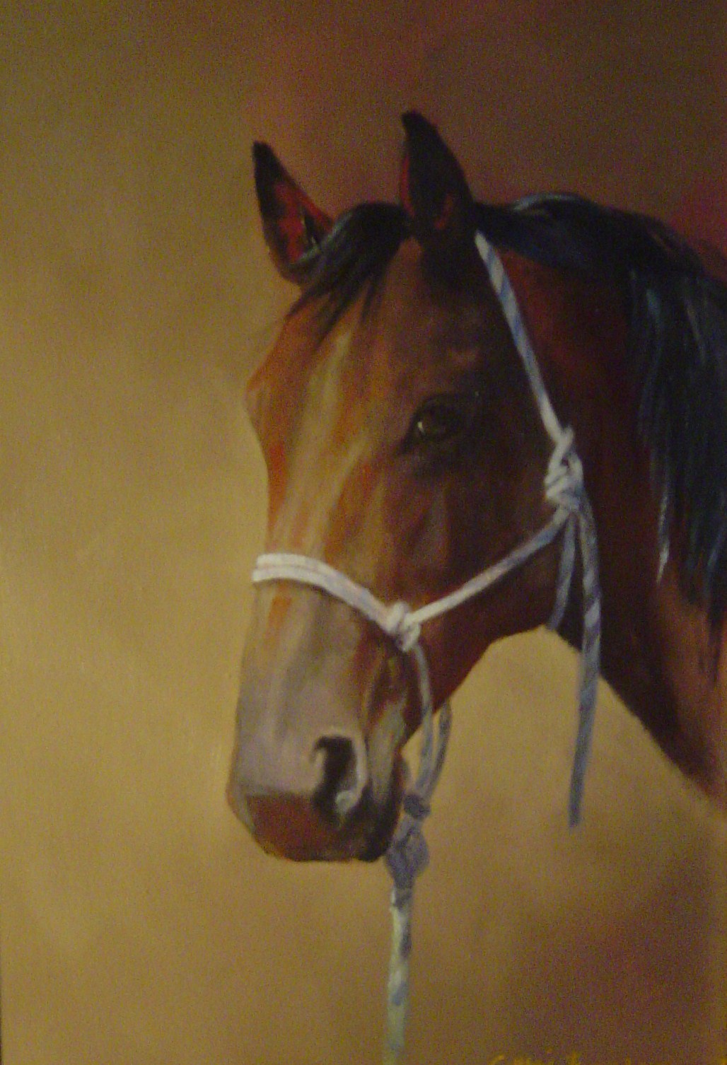 Oil Painting by Cathie Berry titled Pumpkin