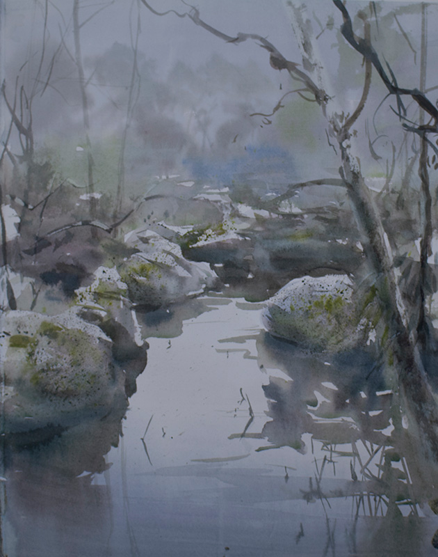 Watercolour Painting by Chan Dissanayake titled Rock pool