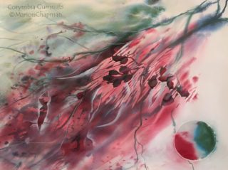A Watercolour painting by Marion Chapman in the Semi-Abstract style  depicting Flowers Night and Trees with main colour being Green and Pink and titled Corymbia Gumnuts