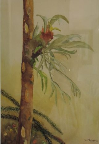 A Watercolour painting by Les Mortimer Garden with main colour being Green Ochre and Olive and titled Elk Horn