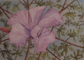 A Watercolour painting by Les Mortimer depicting Flowers with main colour being Grey Olive and Pink and titled Sunrise Pacific Islands