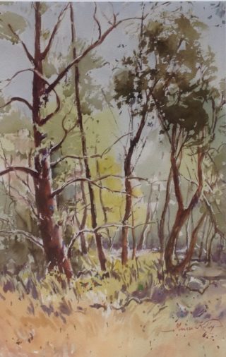 A Watercolour artwork by Annee Kelly in the Impressionist style  depicting Landscape Trees with main colour being Blue Ochre and Olive and titled Dancing of the Trees