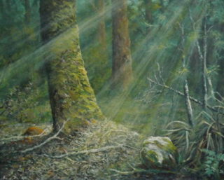 An Acrylic painting by John Duncan depicting Landscape Bush and Trees and titled Forest Moss