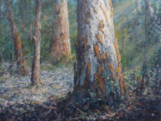 An Acrylic painting by John Duncan depicting  Bush and Trees and titled Secret Place