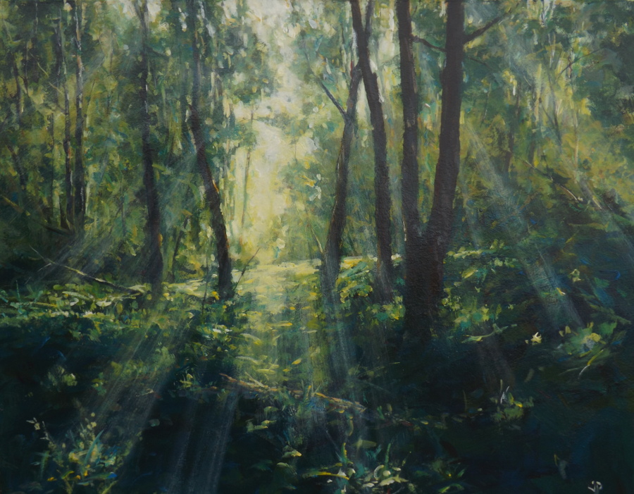 Acrylic Painting by John Duncan titled Forest Light
