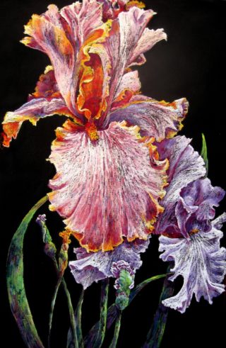 A Pastel painting by Helen Miles depicting Flowers with main colour being Black Blue and Purple and titled Heads Above the Rest