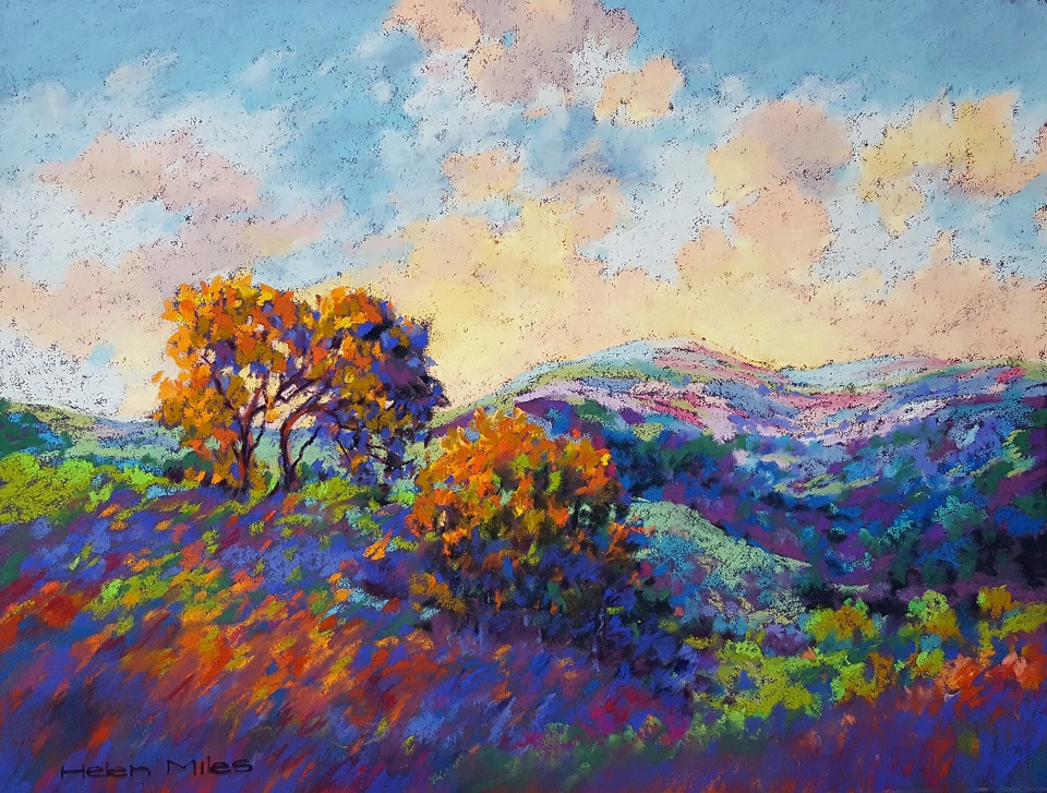 Pastel Painting by Helen Miles titled Hilltops