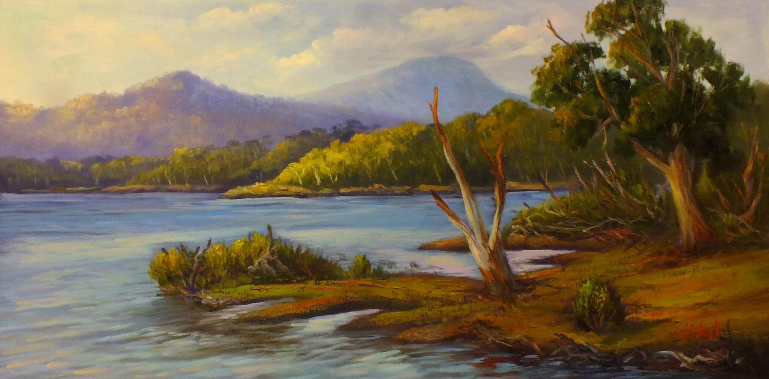 Oil Painting by Christopher Vidal titled Oil on canvas - View of lake St Claire Tasmania