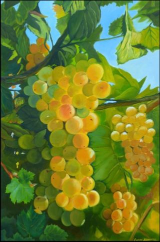An Oil painting by Lindsay Kilminster in the Contemporary Realist style  depicting Fruit Farmland and Food with main colour being Blue Brown and Green and titled White Wine Grapes