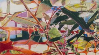 A Coloured Pencils painting by Michelle Ripari in the Contemporary Realist style  depicting Landscape Garden and Trees and titled Fragile