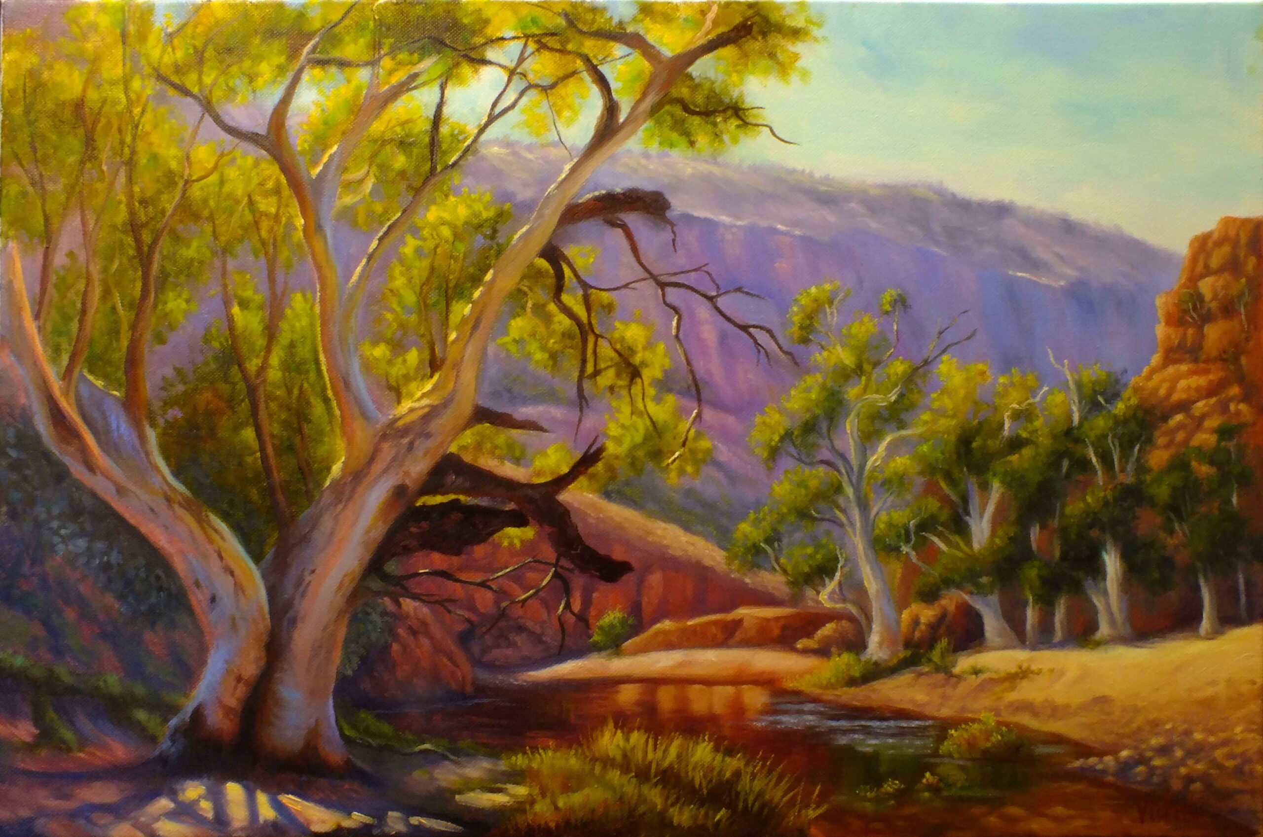 Oil Painting by Christopher Vidal titled Warm afternoon - Ormiston Gorge