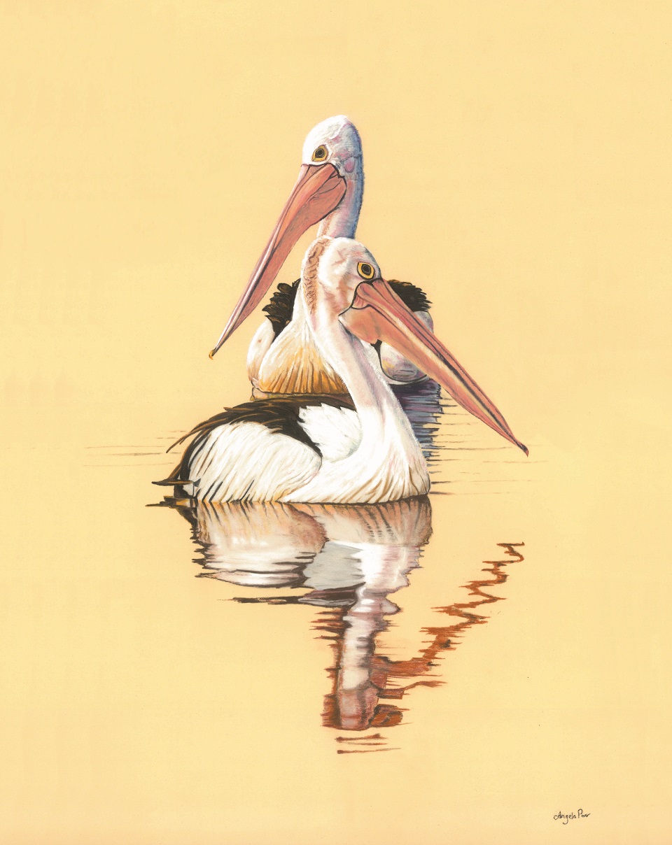 Pastel Painting by Angela Parr titled Ponderings