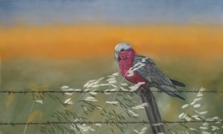 A Pastel painting by Angela Parr in the Realist style  depicting Animals Birds with main colour being Blue Green and Yellow and titled Breezy Perch