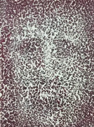 An Acrylic painting by Naji Sassine in the Abstract style  with main colour being Grey and titled Invisible Face 2
