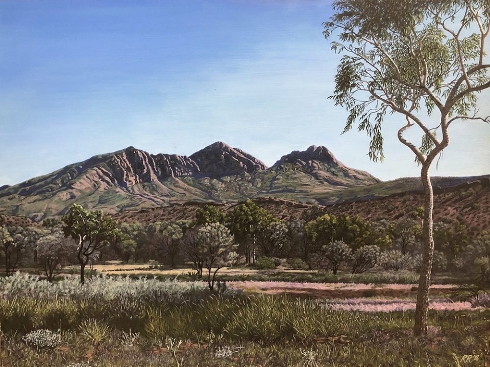 Acrylic Painting by Richard Rosebery‎ titled Mt Sonder Sentinel