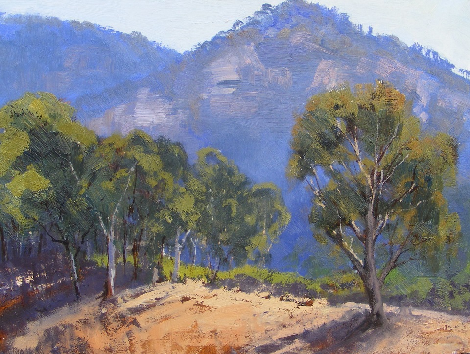 Oil Painting by Trish Bennett titled Last Light Bylong