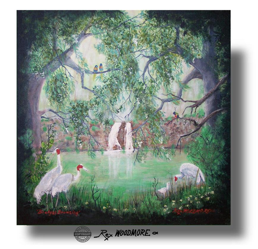 Acrylic Painting by Rex Woodmore titled Brolgas Browsing