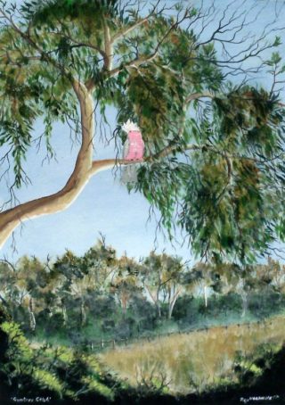 An Acrylic painting by Rex Woodmore in the Contemporary Realist style  Birds Farmland and Rural with main colour being Blue Green and Ochre and titled Gumtree Galah