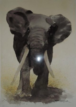 A Watercolour painting by Jeff Gilmour in the Realist style  depicting Animals with main colour being Grey and titled Elephant