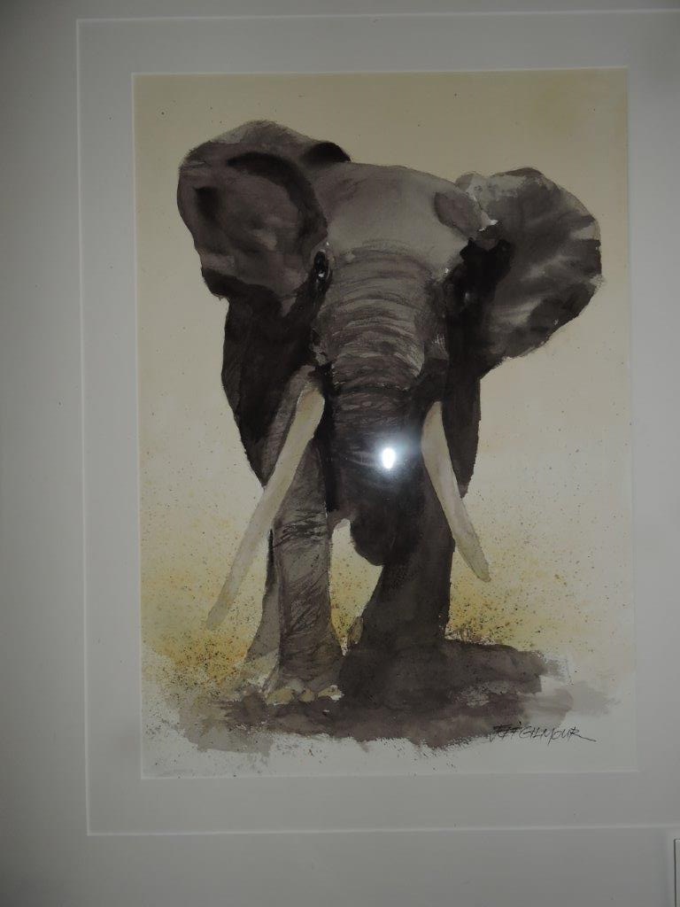 Watercolour Painting by Jeff Gilmour titled Elephant
