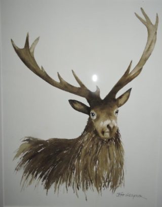 A Watercolour painting by Jeff Gilmour in the Realist style  depicting Animals with main colour being Brown and Grey and titled Stag 2