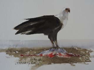 A Watercolour painting by Jeff Gilmour in the Realist style  depicting Animals Birds and titled Lunch