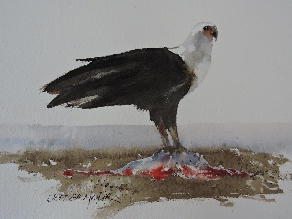 Watercolour Painting by Jeff Gilmour titled Lunch