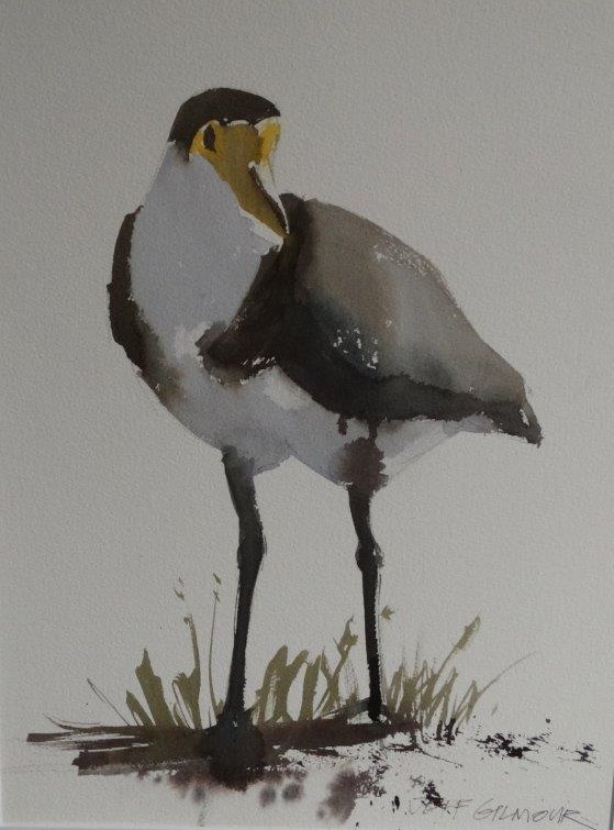 Watercolour Painting by Jeff Gilmour titled Plover