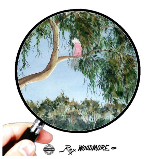 Acrylic Painting by Rex Woodmore titled Gumtree Galah
