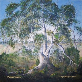 An Acrylic painting by Rex Woodmore in the Contemporary Realist style  depicting Landscape Bush Farmland and Flowers with main colour being Blue Green and Grey and titled Real Rivergum