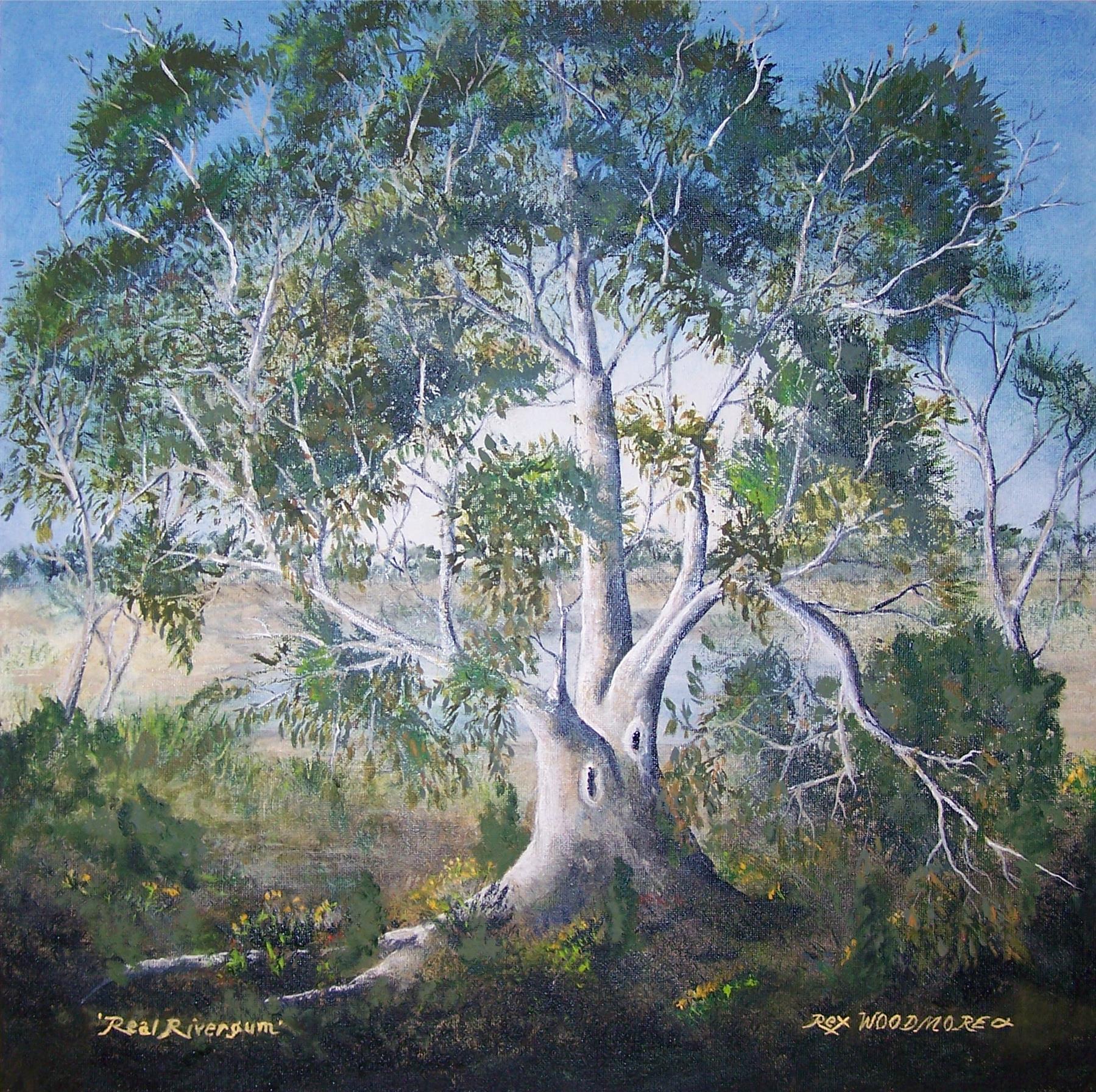 Acrylic Painting by Rex Woodmore titled Real Rivergum