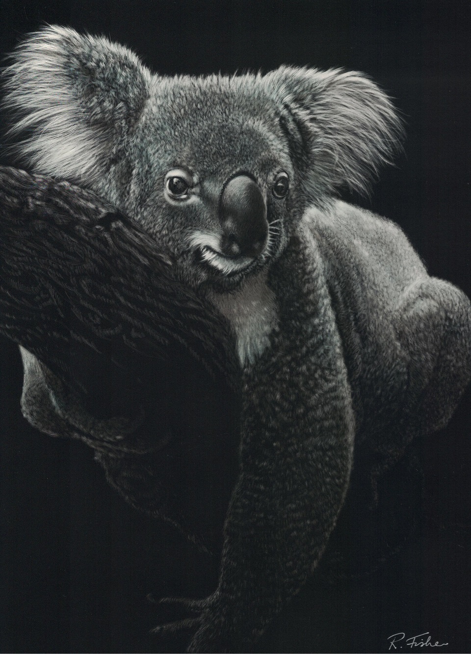 Scratchboard Painting by Rikki Fisher titled Hanging About