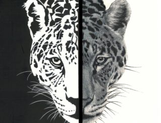 A Scratchboard painting by Rikki Fisher depicting Animals with main colour being Black Grey and White and titled In Two Minds