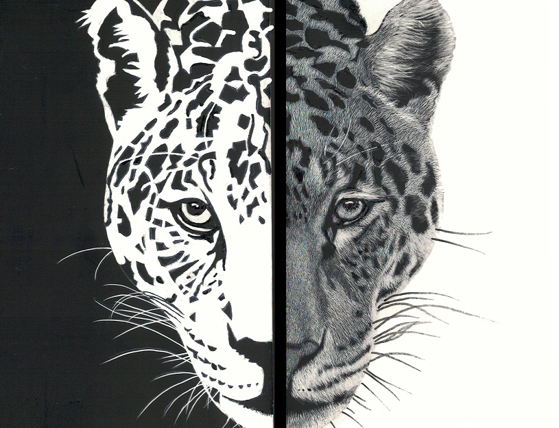 Scratchboard Painting by Rikki Fisher titled In Two Minds