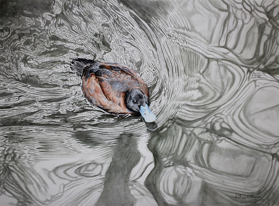  Painting by William Ritchie titled Bluebill