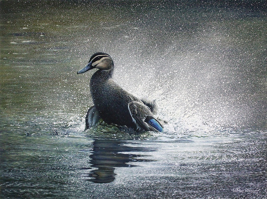 Oil Painting by William Ritchie titled Splash