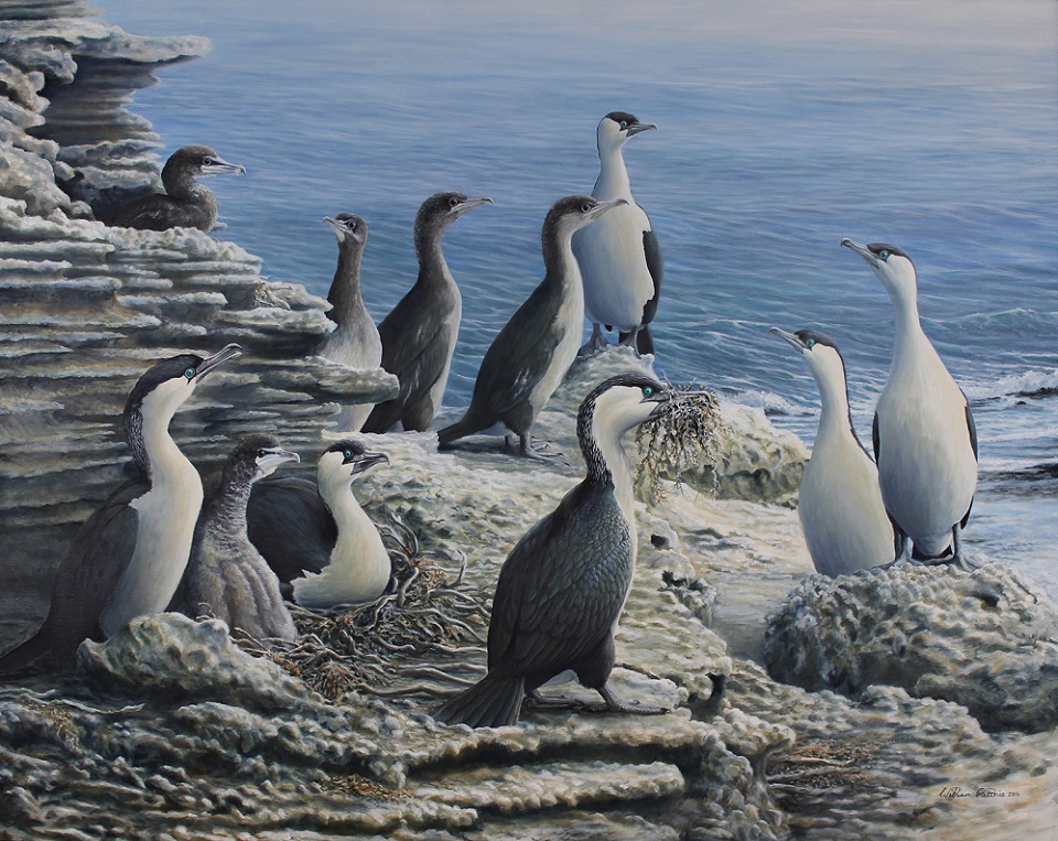  Painting by William Ritchie titled Life on the Edge Middle Island