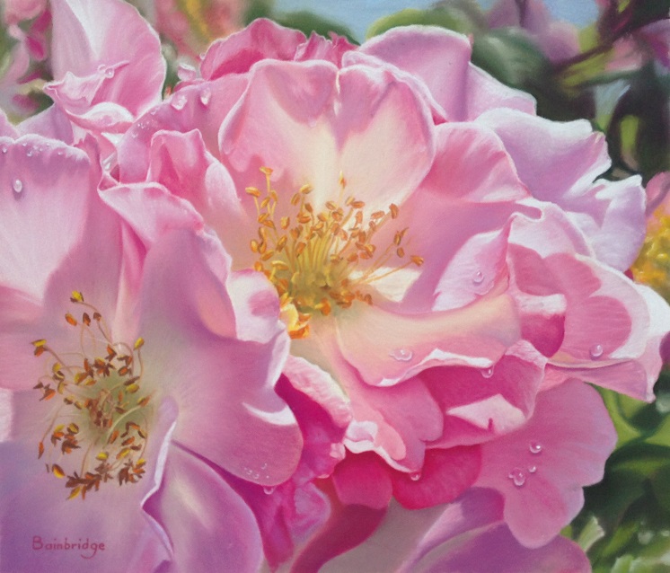 Pastel Painting by Maureen Bainbridge titled Morning Light