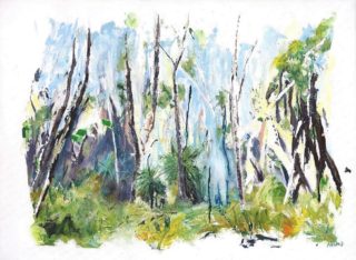 An Oil painting by Jeanette Adams in the Impressionist style  depicting Trees Bush Flowers and Interior with main colour being Blue Brown and Cream and titled Grass Trees In The Forest