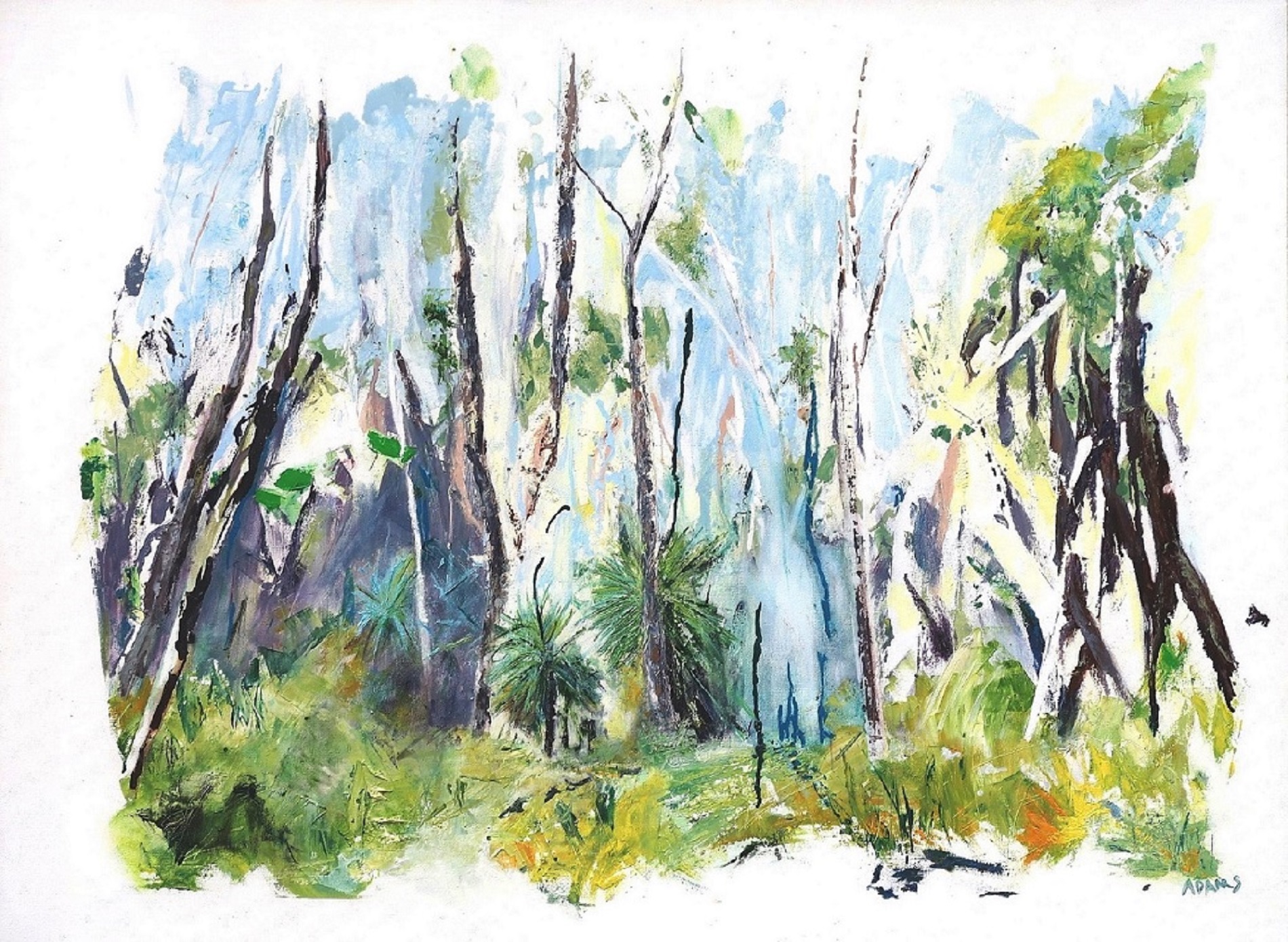 Oil Painting by Jeanette Adams titled Grass Trees In The Forest