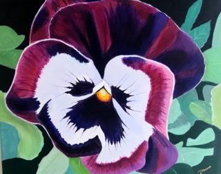 An Acrylic painting by Dawn Luttrell in the Realist style  Flowers with main colour being Pink and Purple and titled Purple Pansy