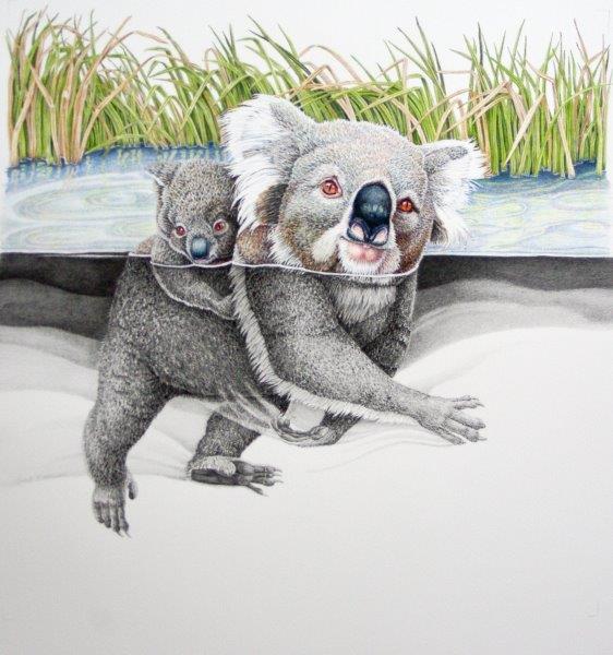 Coloured Pencils Painting by Janet Matthews titled Hold on Baby