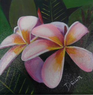 An Acrylic painting by Dawn Luttrell in the Realist style  depicting Flowers with main colour being Pink Red and White and titled Pink Frangipani